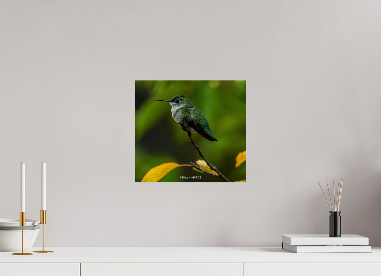 13.1 x 12″, Photo Print On Fuji Crystal DP II Zillas Zoom Image 311