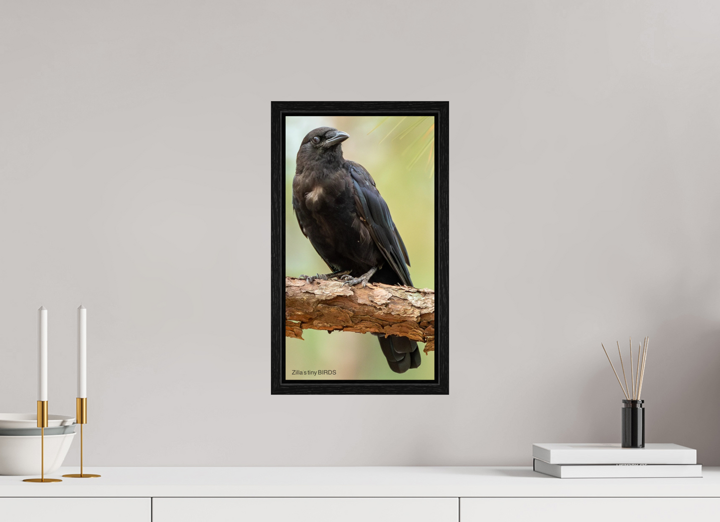 9 x 16″, Floater Frame Zillas Zoom Image 479