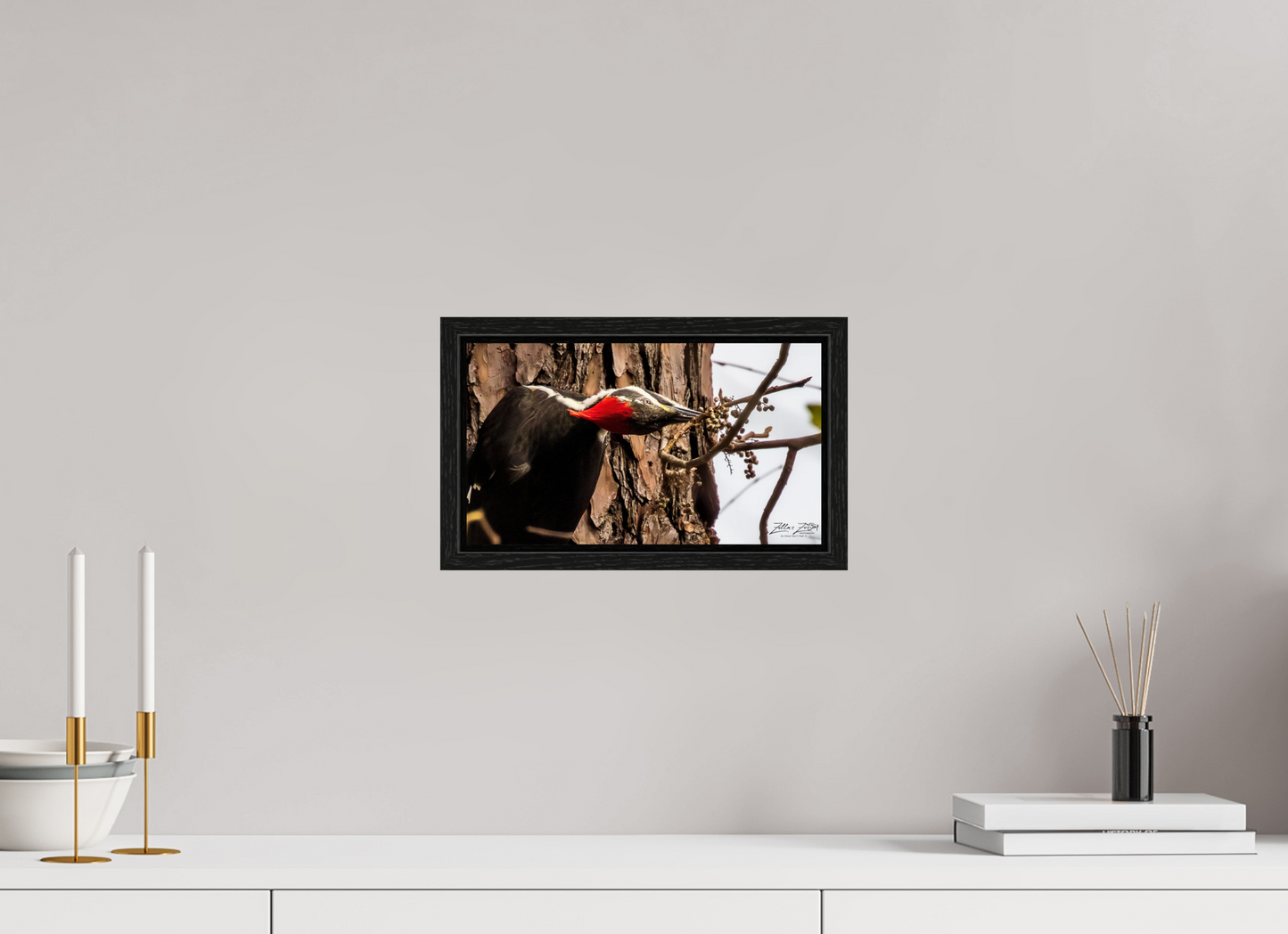 12 x 6.8″, Floater Frame Zillas Zoom Image 283