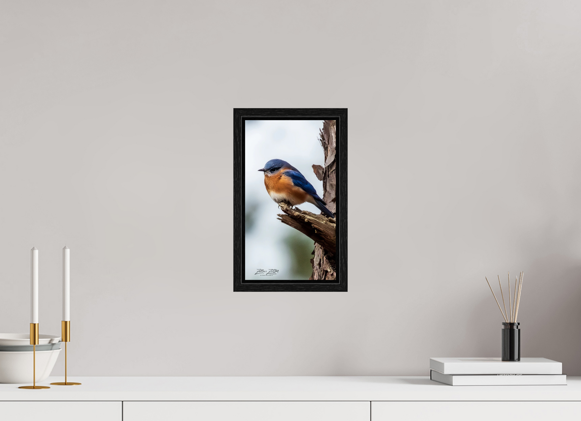 6.8 x 12″, Floater Frame Zillas Zoom Image 458