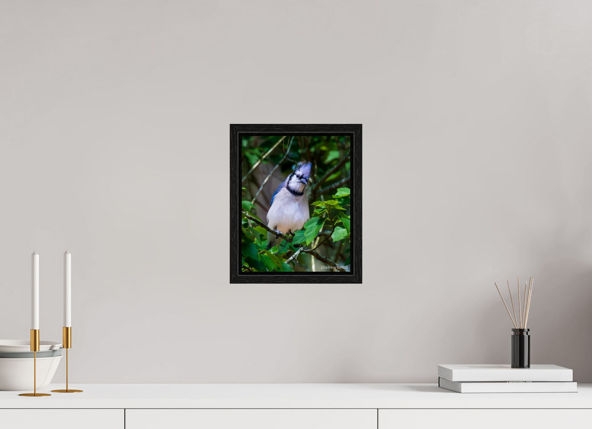 8 x 10″, Floater Frame Zillas Zoom Image 497