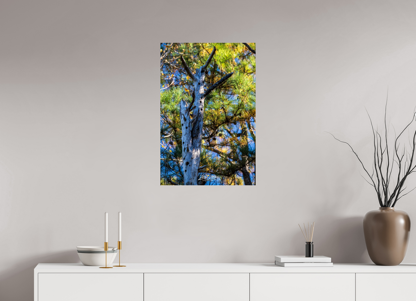 20 x 30″, Photo Print On Fuji Crystal DP II Zillas Zoom Image 252
