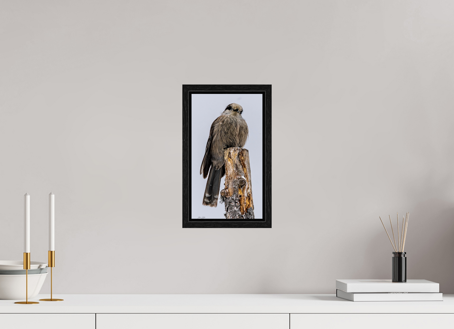 6.8 x 12″, Floater Frame Zillas Zoom Image 464
