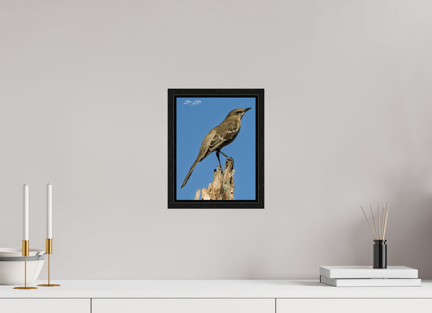 8 x 10.4″, Floater Frame Zillas Zoom Image 404