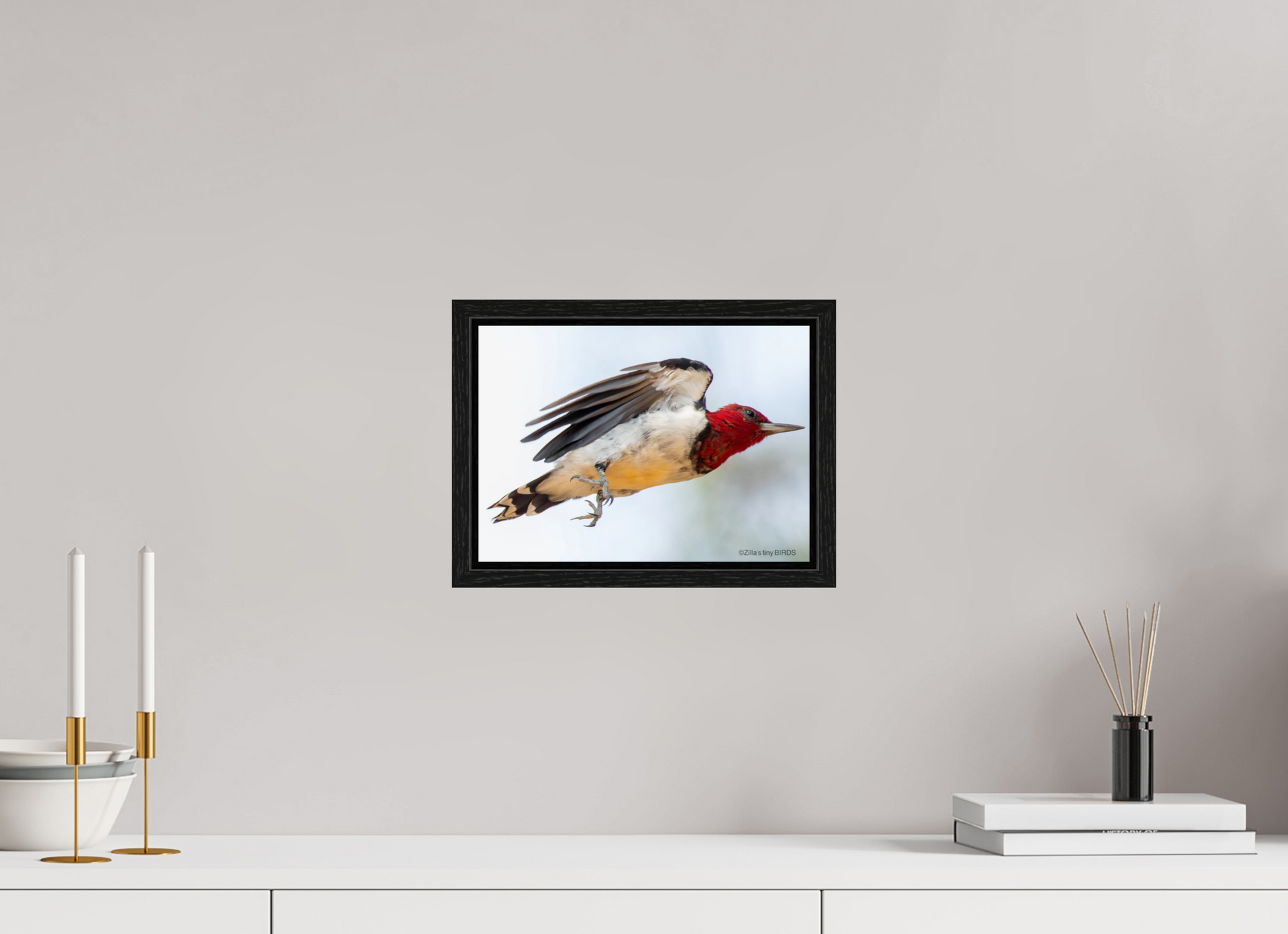 11.2 x 8″, Floater Frame Zillas Zoom Image 325
