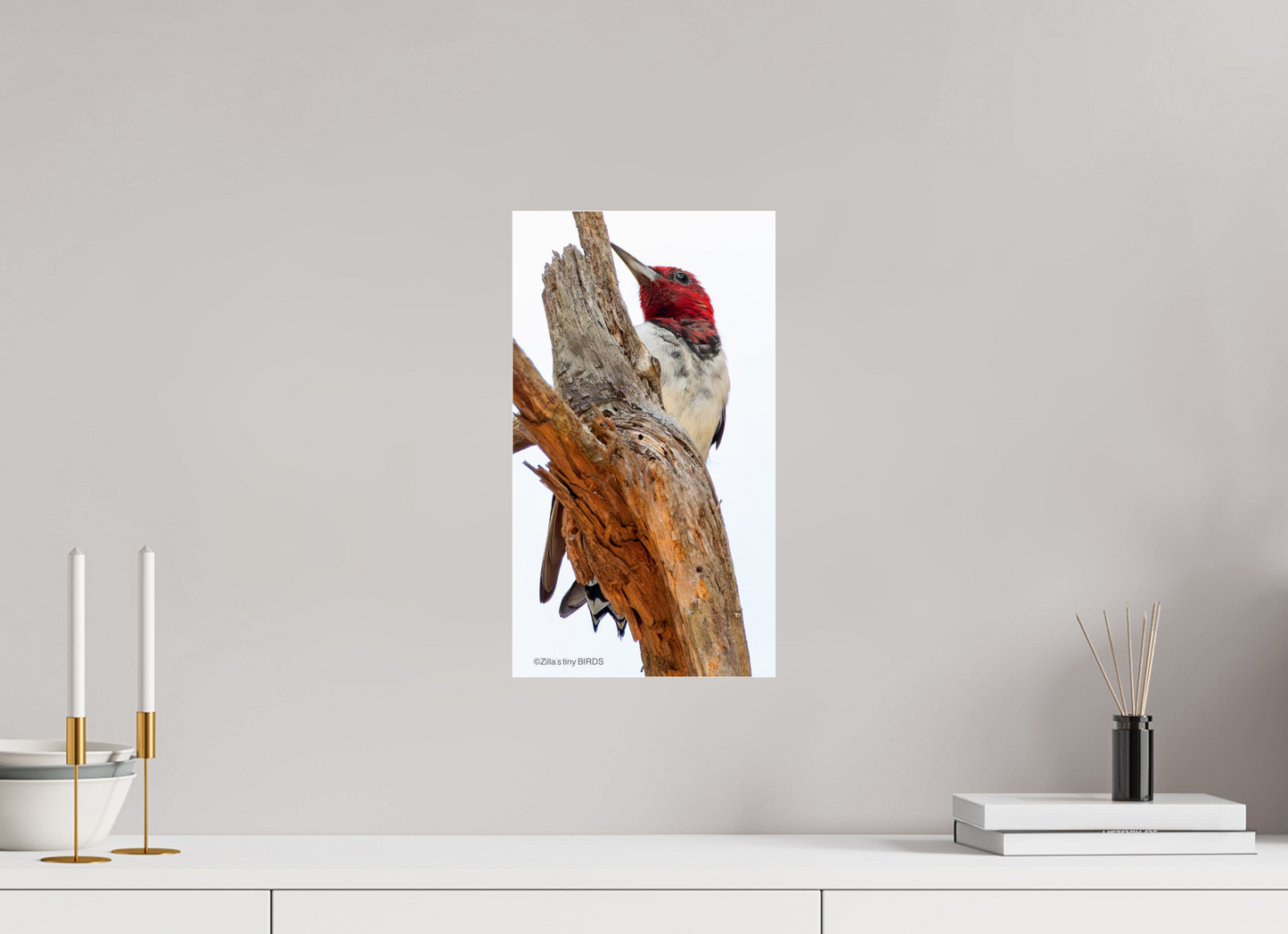 9 x 16″, Photo Print Under Acrylic Glass Zillas Zoom Image 439