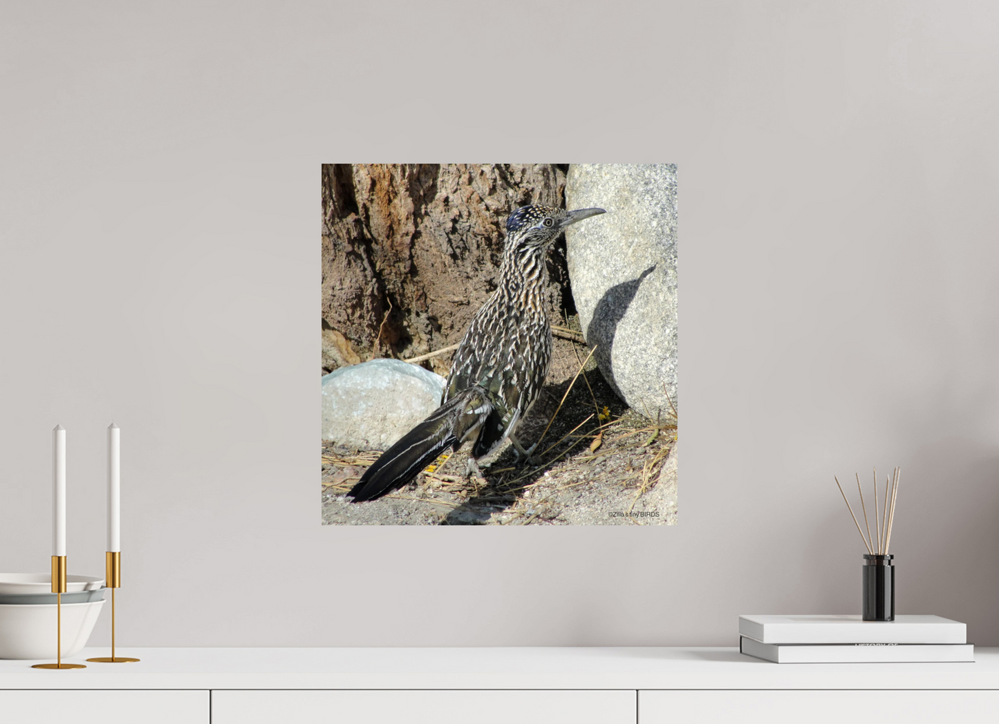 16 x 16.3″, Photo Print On Fuji Crystal DP II Zillas Zoom Image 362