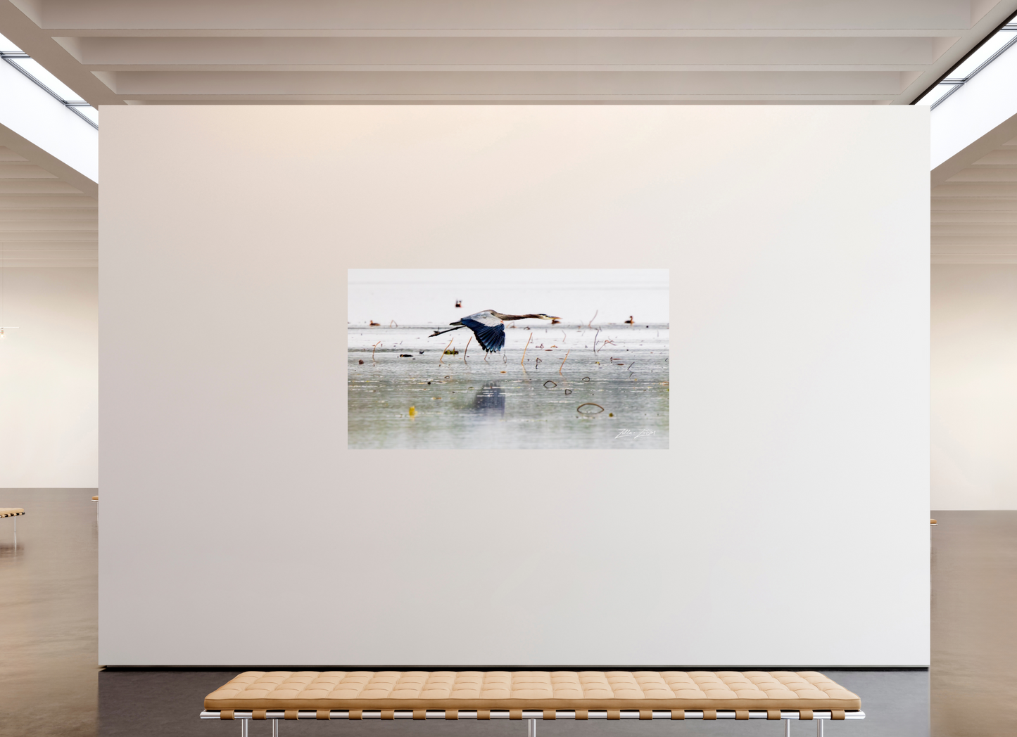 80 x 45″, Photo Print On Fuji Crystal DP II Zillas Zoom Image 321