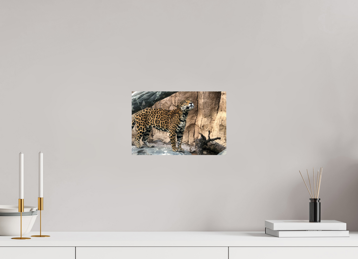 11.9 x 8″, Photo Print On Fuji Crystal DP II Zillas zoom image 138