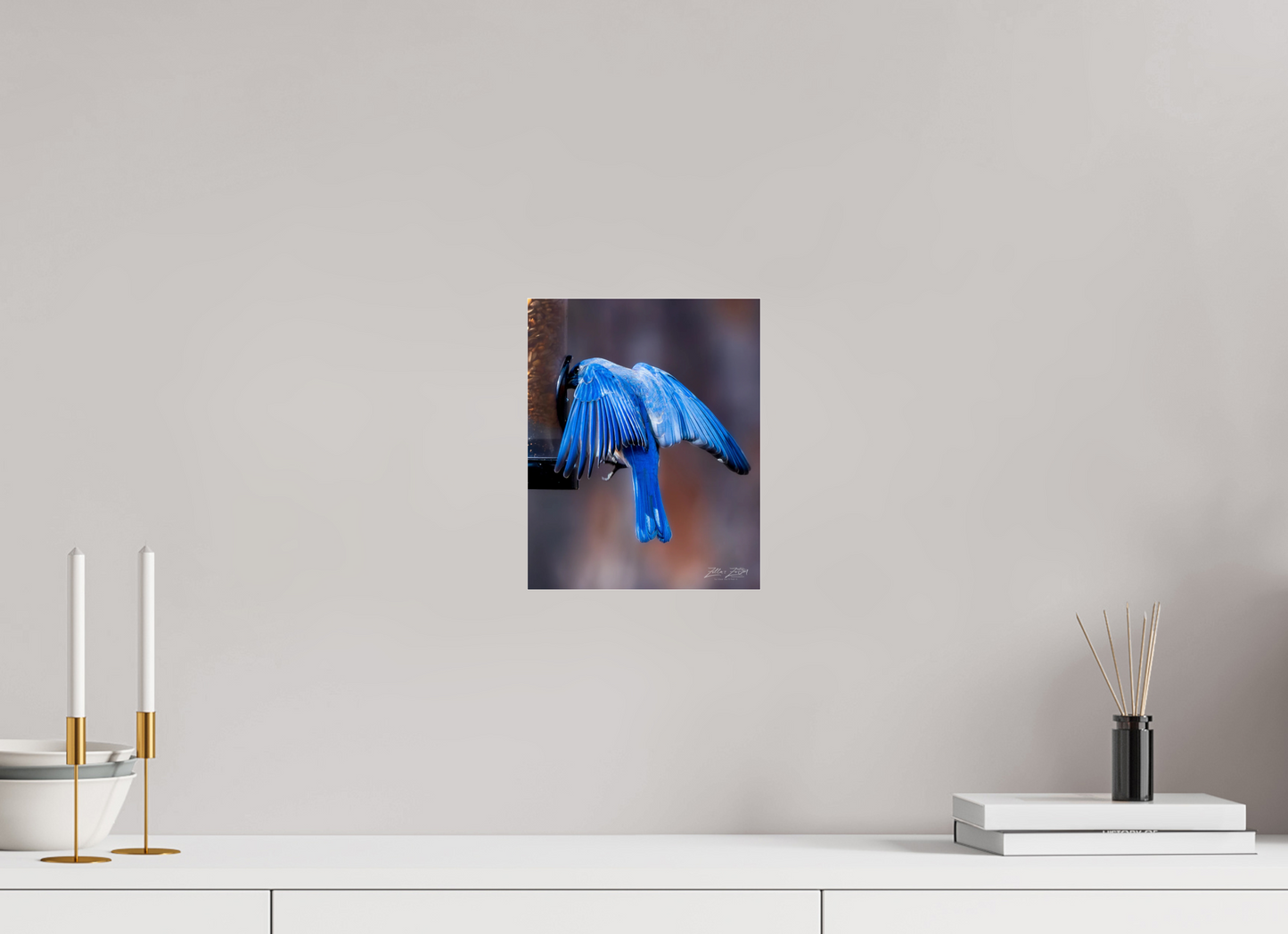 8 x 10″, Photo Print Under Acrylic Glass Zillas Zoom Image 511