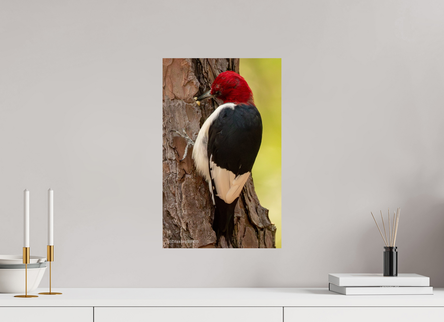 12 x 19.2″, Photo Print On Fuji Crystal DP II Zillas Zoom Image 461