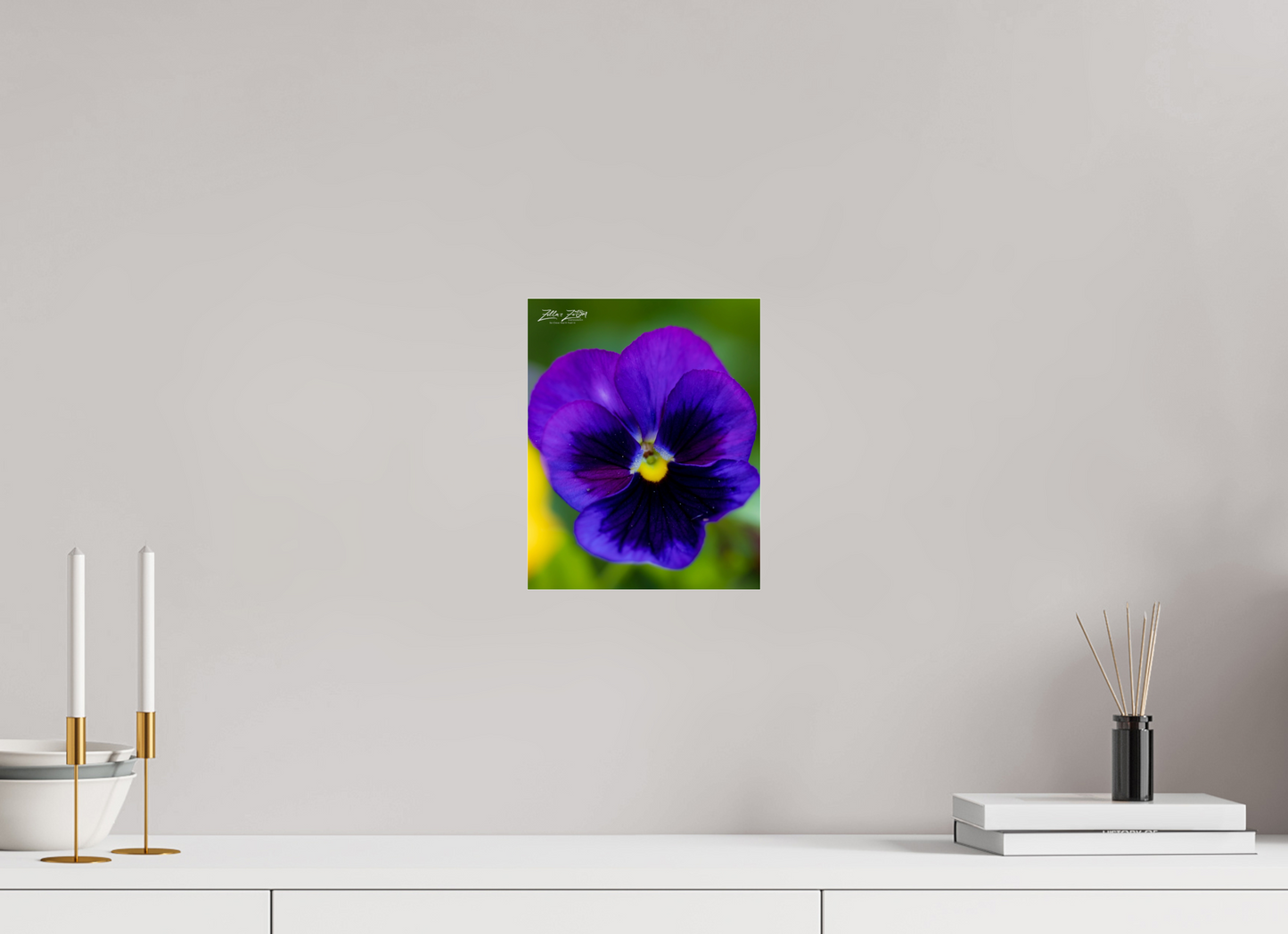 8 x 10″, Photo Print Under Acrylic Glass Zillas Zoom Image 117