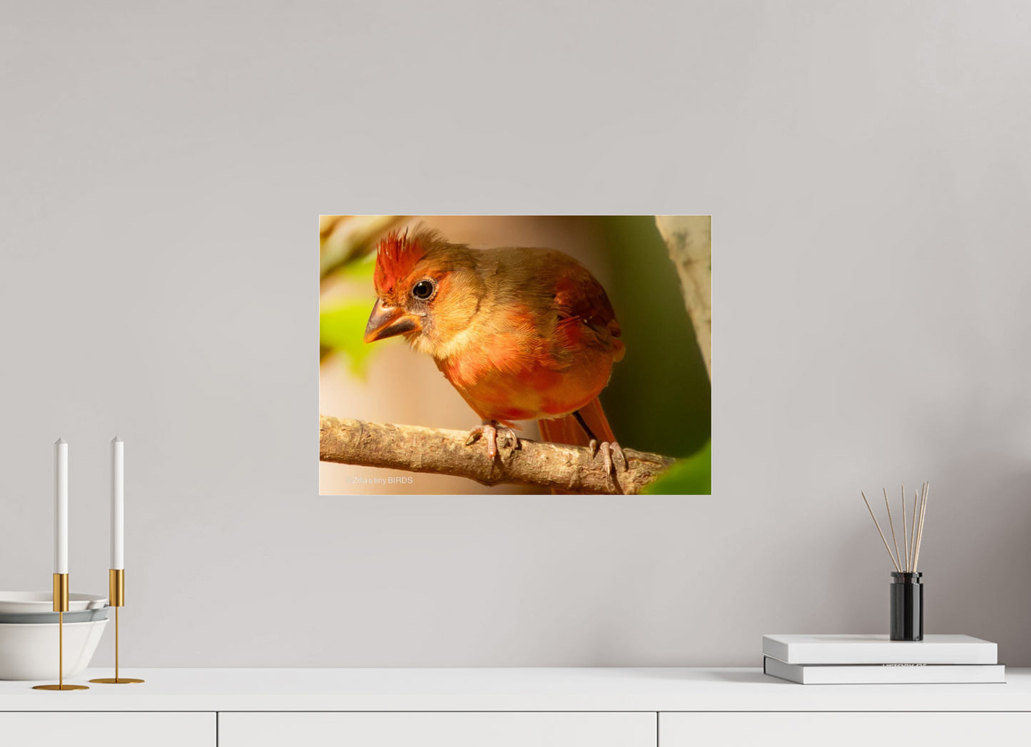16.8 x 12″, Photo Print Under Acrylic Glass Zillas Zoom Image 316