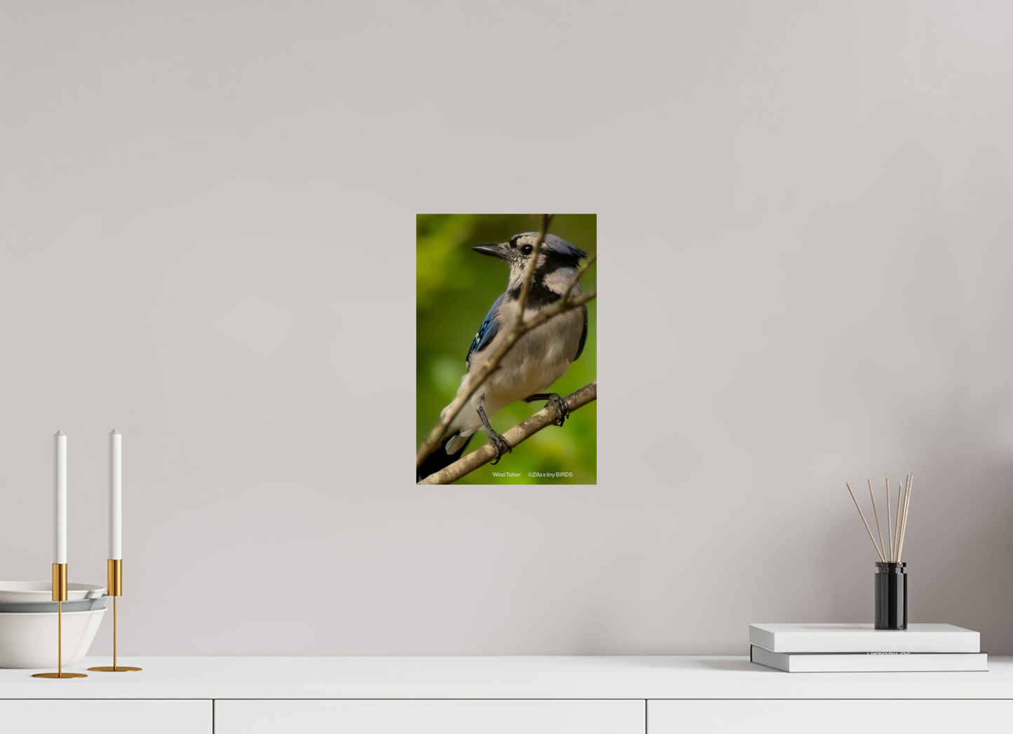 8 x 12″, Photo Print On Fuji Crystal DP II Zillas Zoom Image 435
