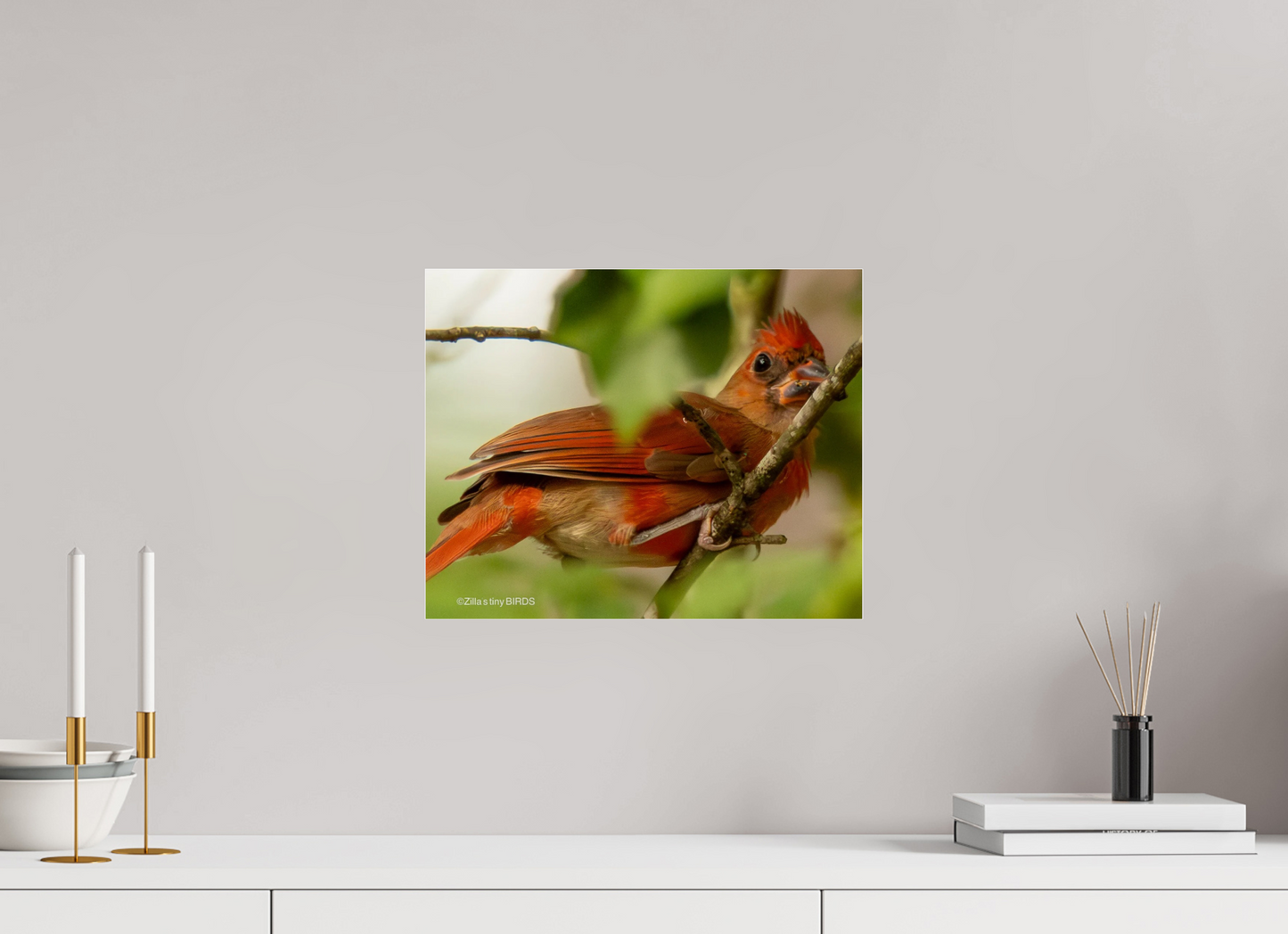 15 x 12″, Photo Print Under Acrylic Glass Zillas Zoom Image 317
