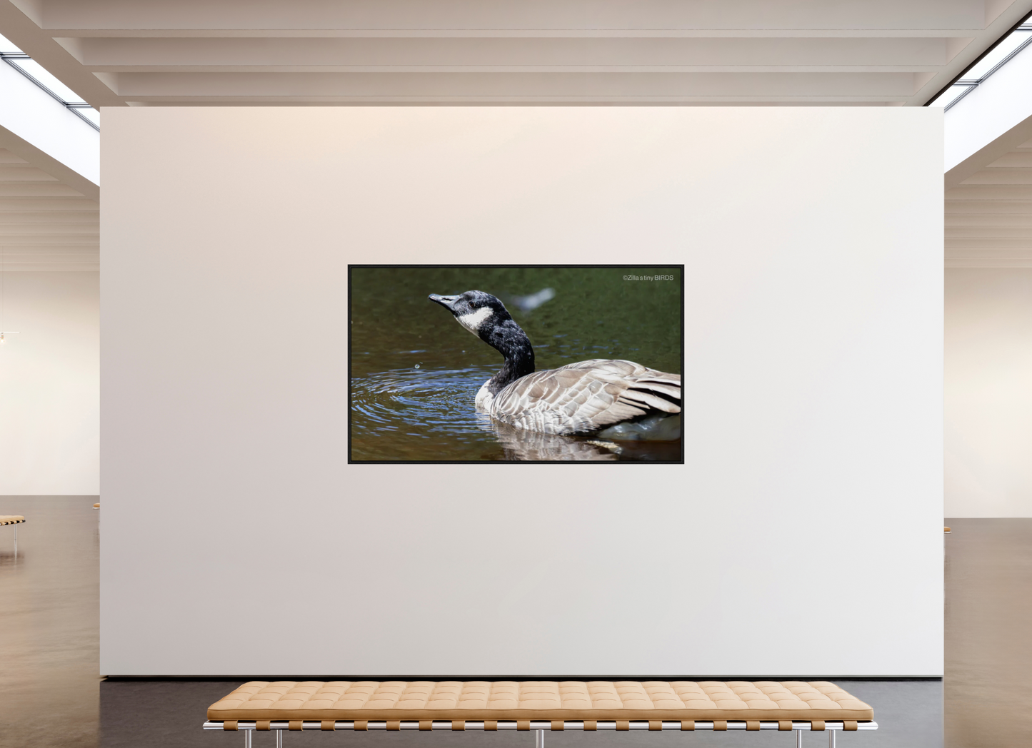 80.4 x 47″, Floater Frame Zillas Zoom Image 315