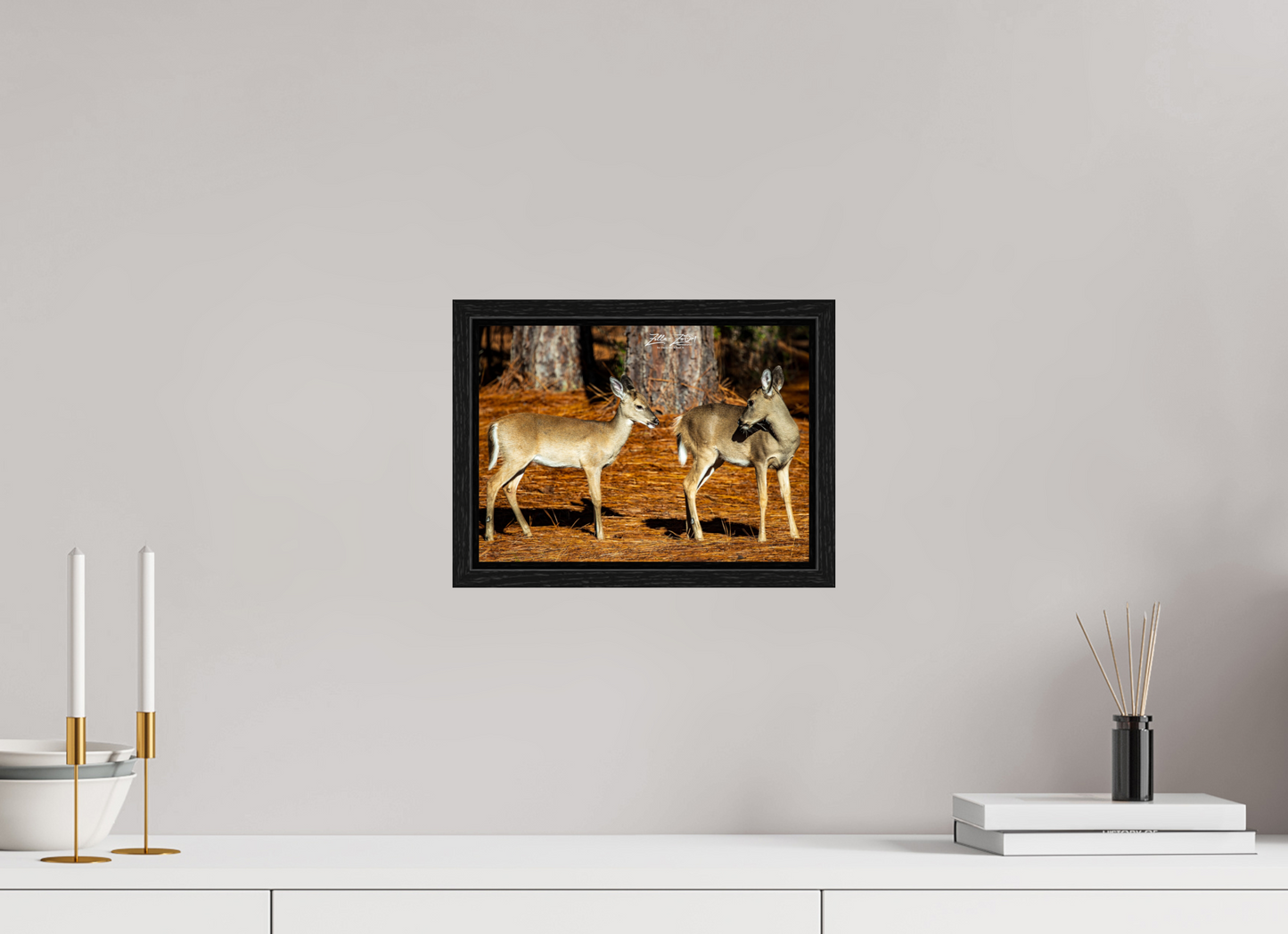 11.2 x 8″, Floater Frame Zillas zoom image 143