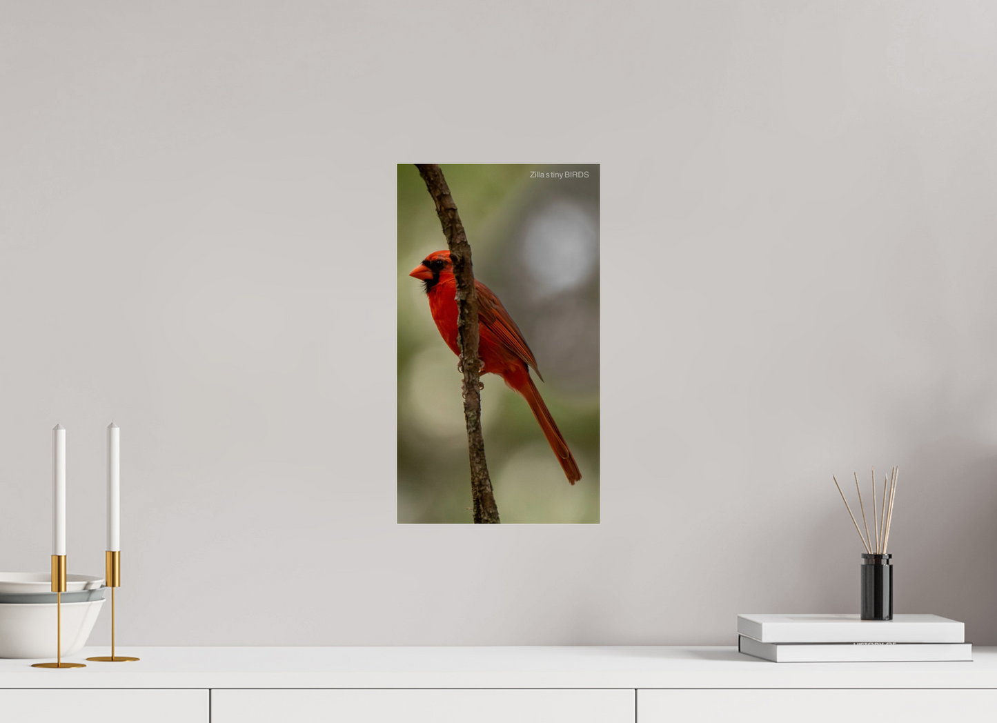 9 x 16″, Photo Print Under Acrylic Glass Zillas Zoom Image 486