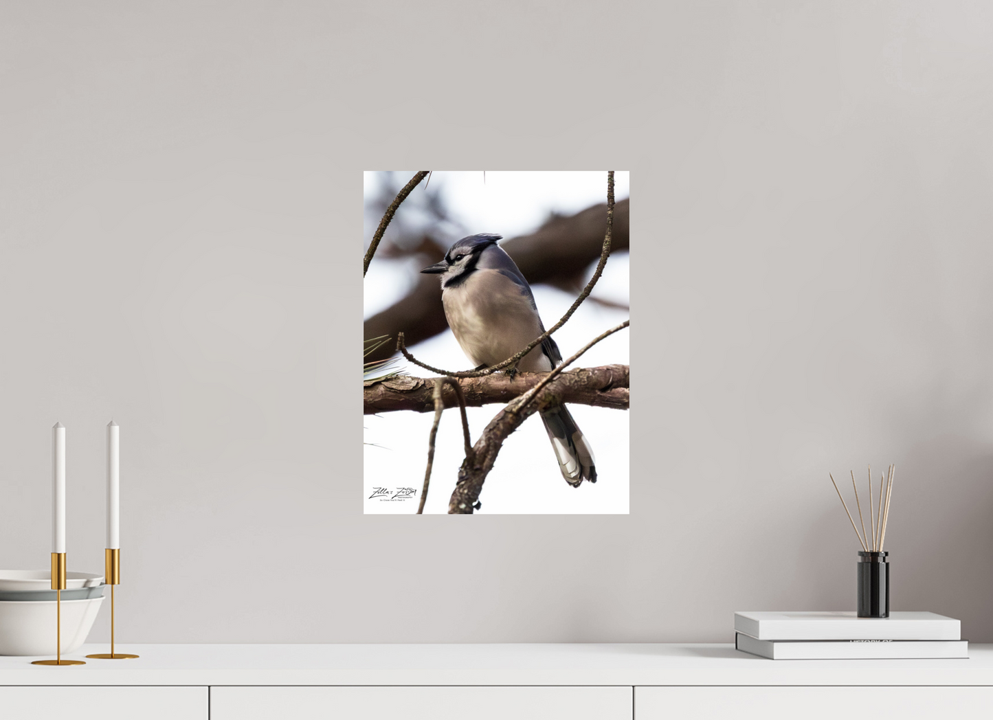 12 x 15.5″, Photo Print On Fuji Crystal DP II Zillas Zoom Image 455