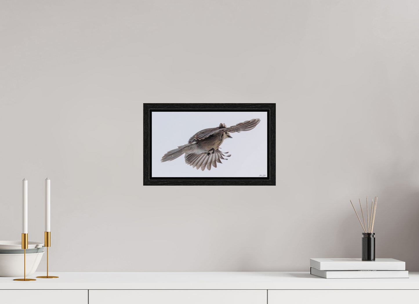 12 x 6.8″, Floater Frame Zillas Zoom Image 352