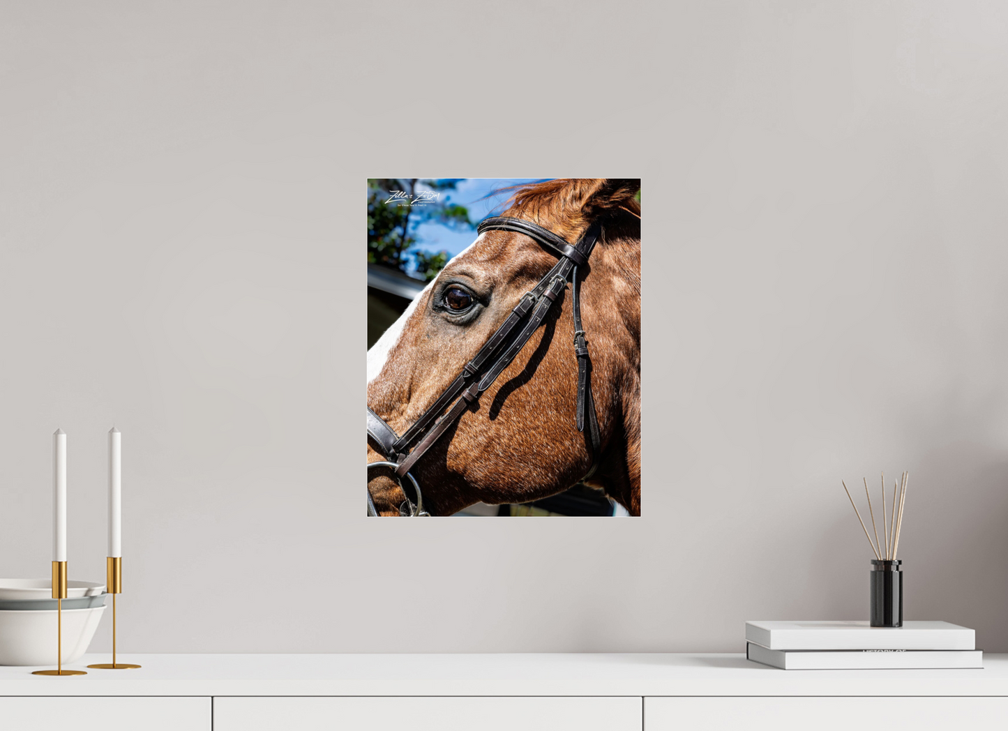 12 x 14.8″, Photo Print Under Acrylic Glass Zillas zoom image 149