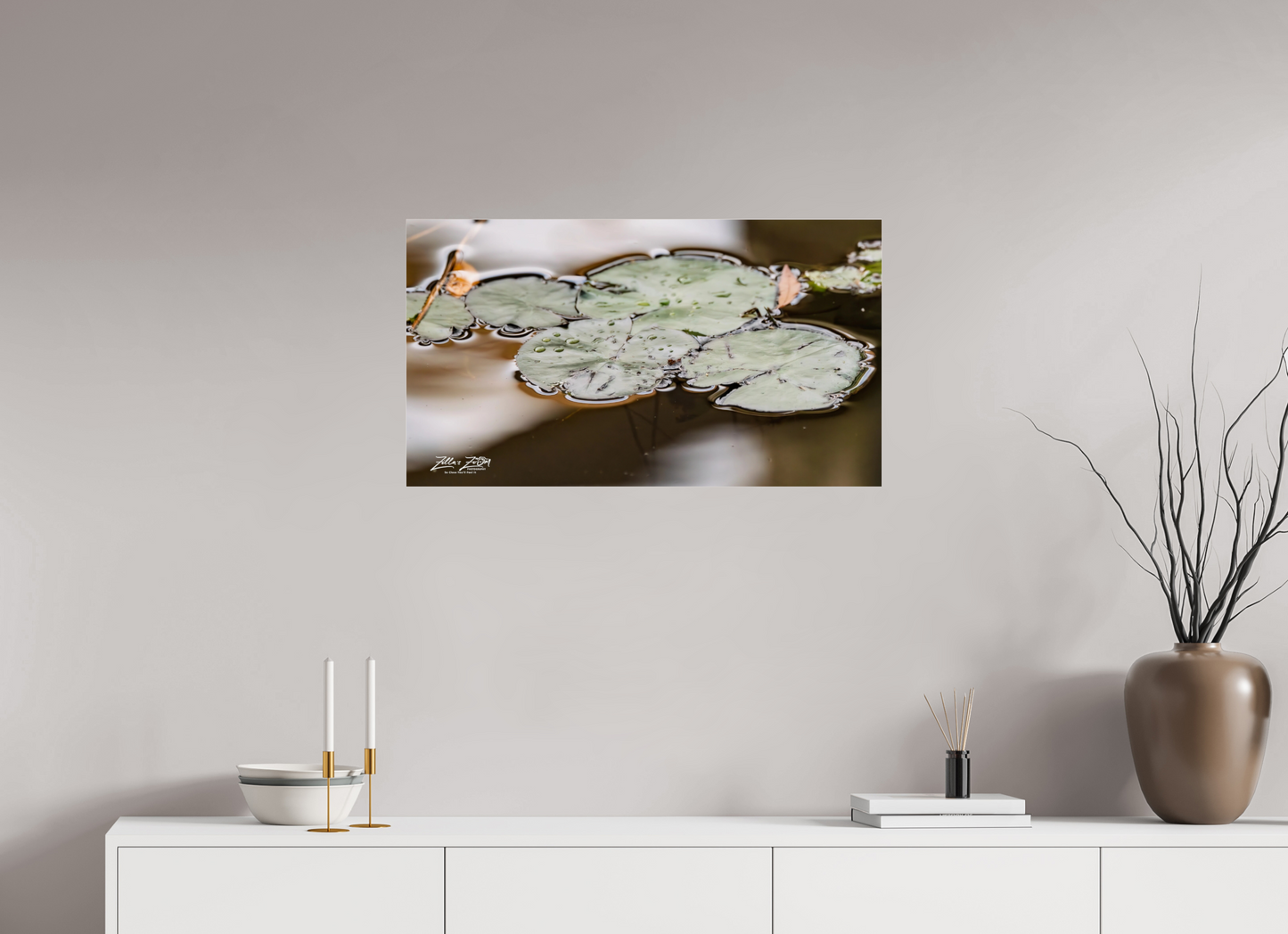32 x 18″, Photo Print Under Acrylic Glass Zillas Zoom Image 89