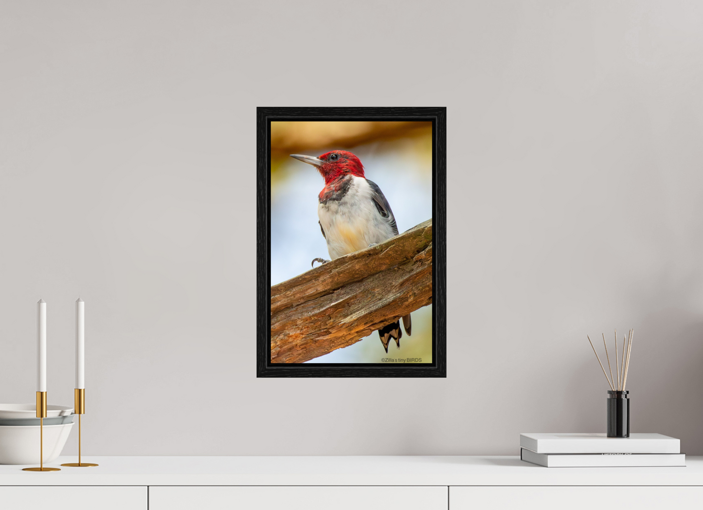 10 x 15″, Floater Frame Zillas Zoom Image 442