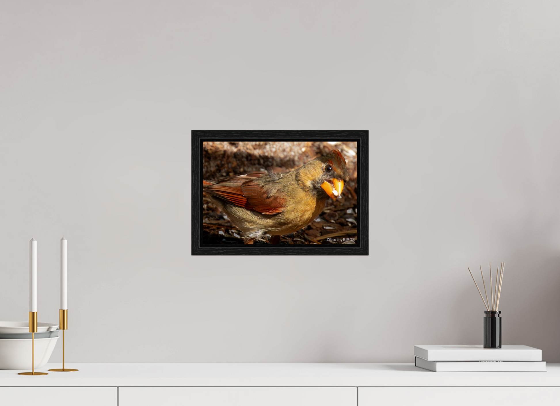 12 x 8″, Floater Frame Zillas Zoom Image 392