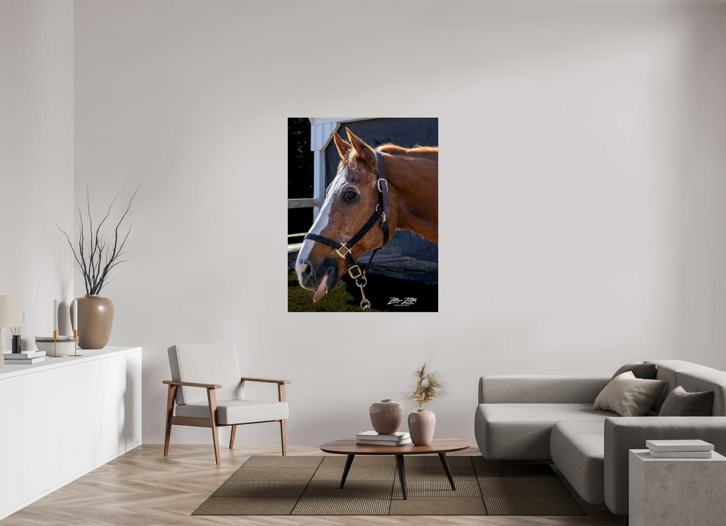 43 x 55.6″, Photo Print On Fuji Crystal DP II Zillas zoom image 157