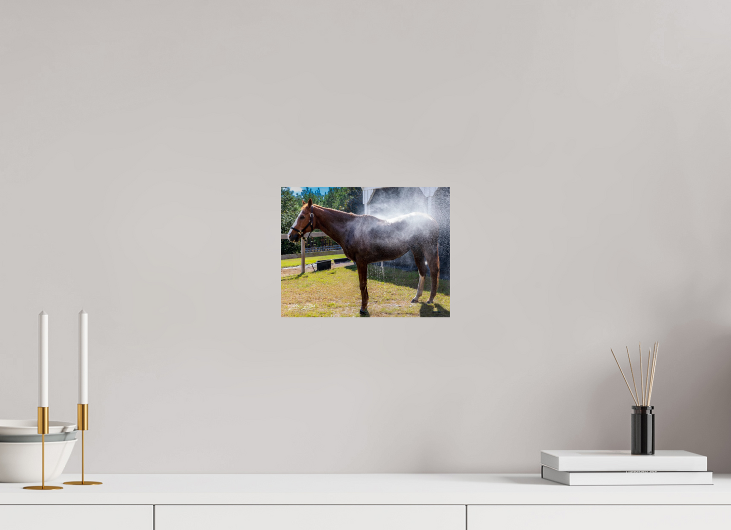 10.4 x 8″, Photo Print On Fuji Crystal DP II Zillas zoom image 145