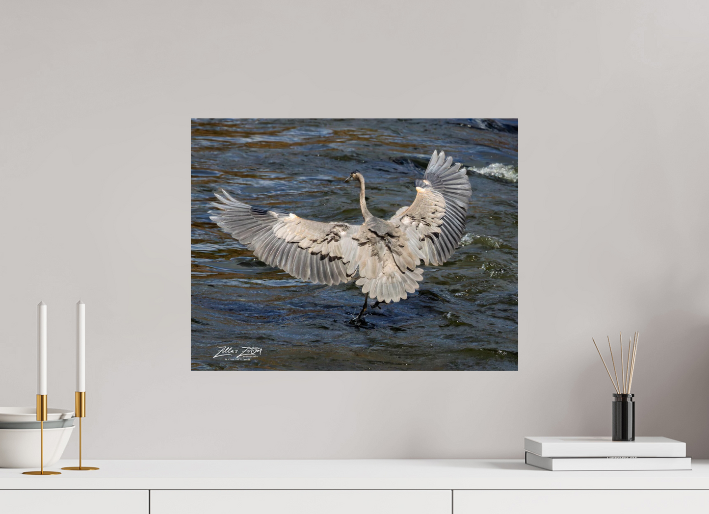 20.7 x 16″, Photo Print On Fuji Crystal DP II Zillas Zoom Image 287