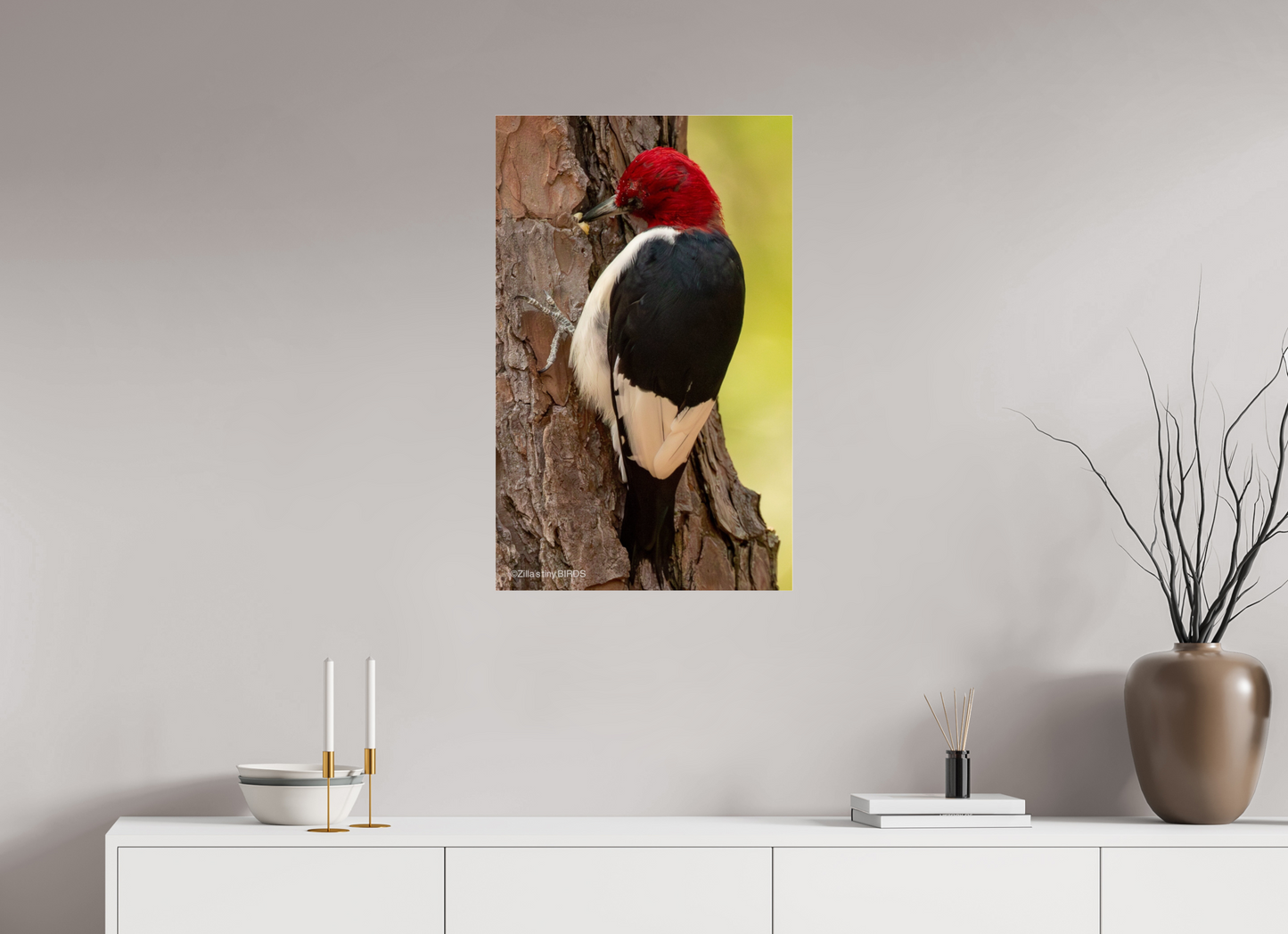 20 x 32″, Photo Print Under Acrylic Glass Zillas Zoom Image 461