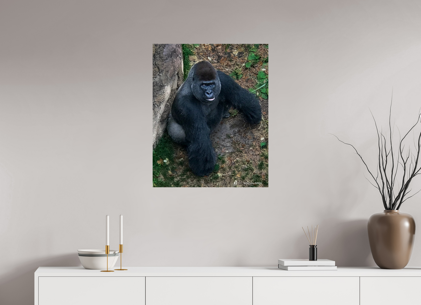 24 x 29.8″, Photo Print On Fuji Crystal DP II Zillas zoom image 151