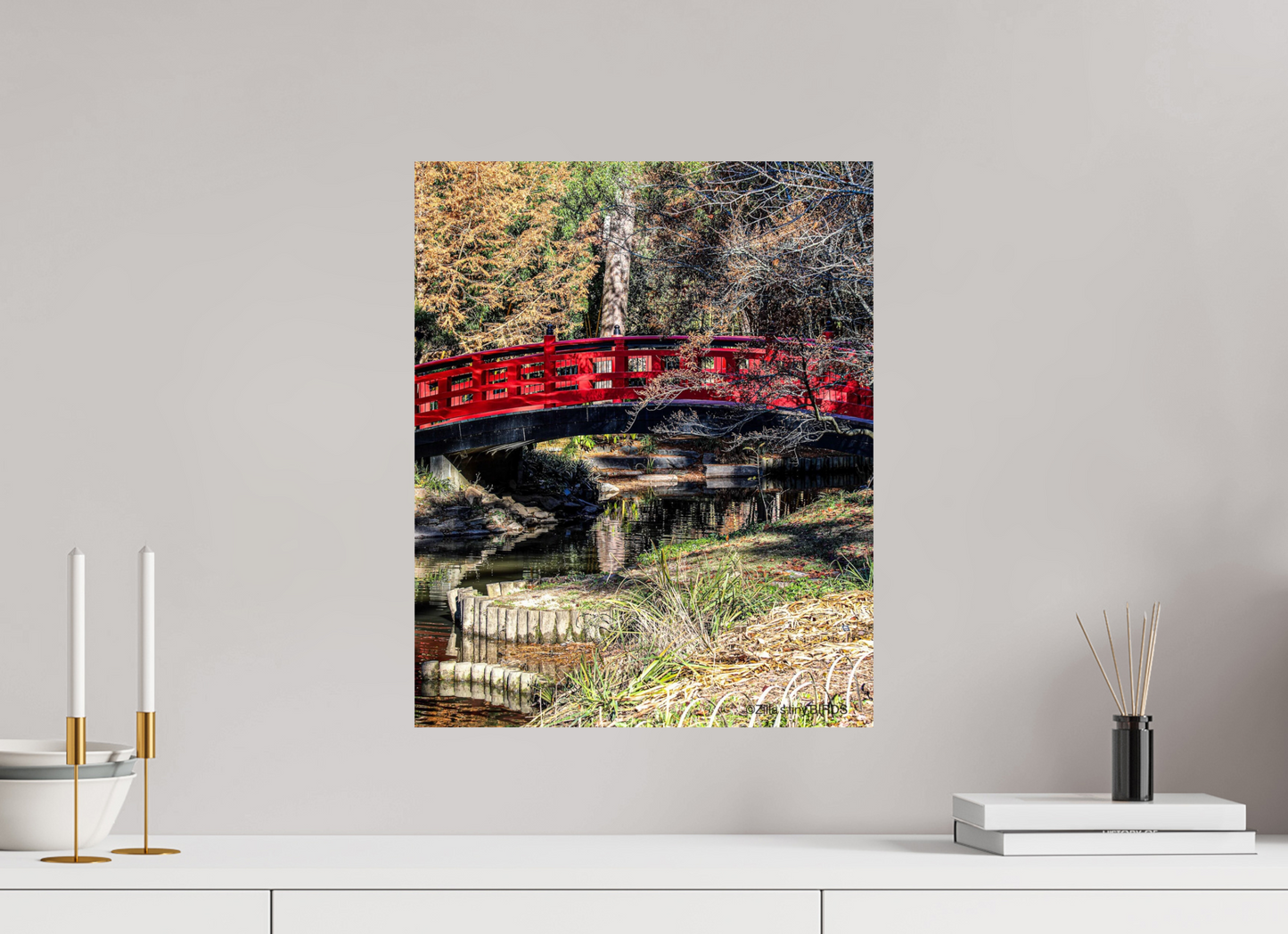 16 x 19.7″, Photo Print On Fuji Crystal DP II Zillas Zoom Image 262