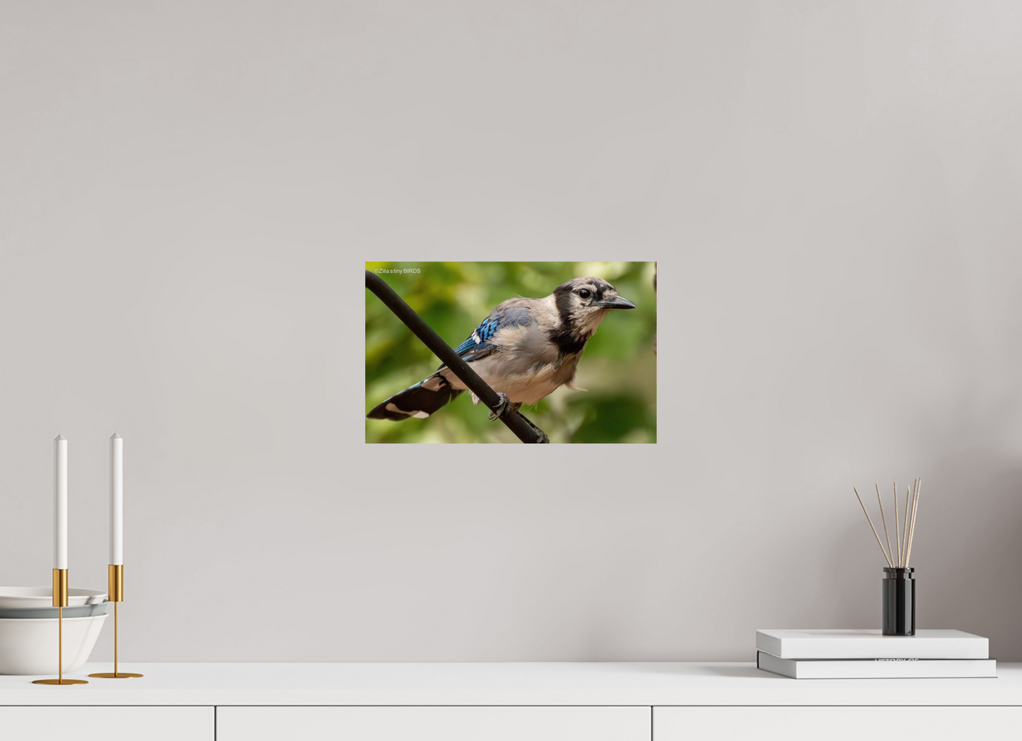 12.8 x 8″, Photo Print On Fuji Crystal DP II Zillas Zoom Image 348