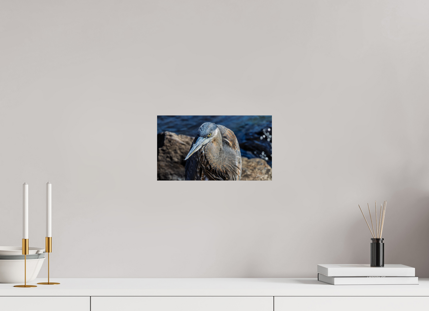 12 x 6.8″, Photo Print On Fuji Crystal DP II Zillas Zoom Image 335