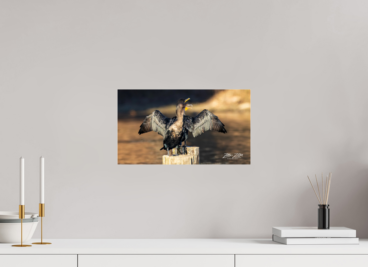 16 x 9″, Photo Print Under Acrylic Glass Zillas Zoom Image 294