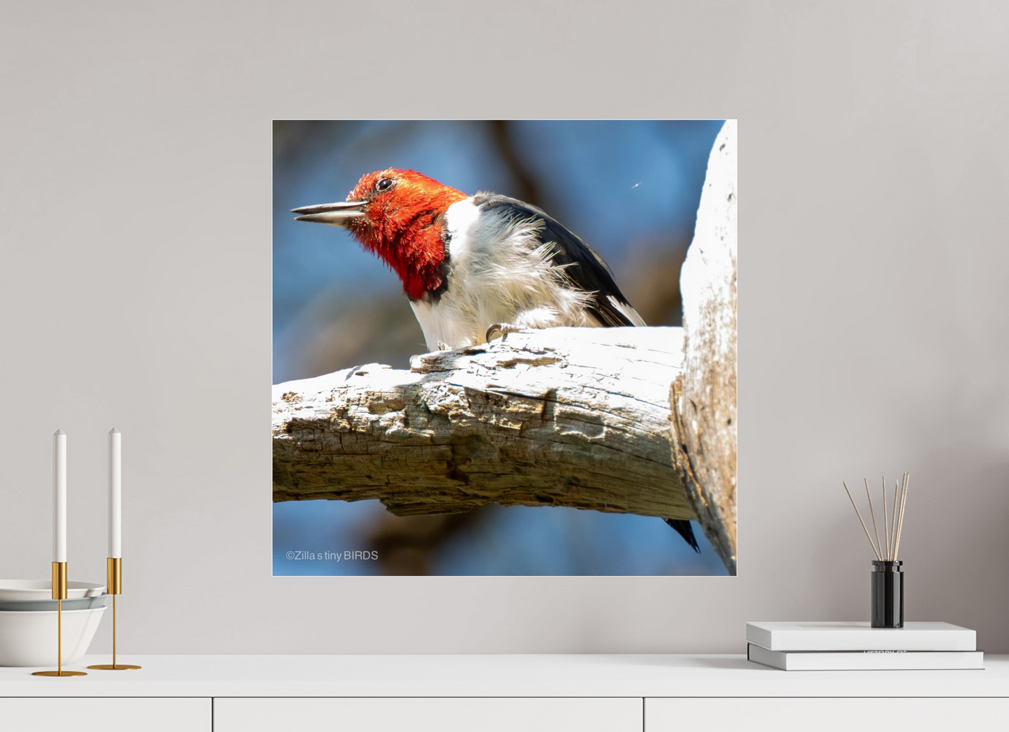 20.4 x 20″, Photo Print Under Acrylic Glass Zillas Zoom Image 273