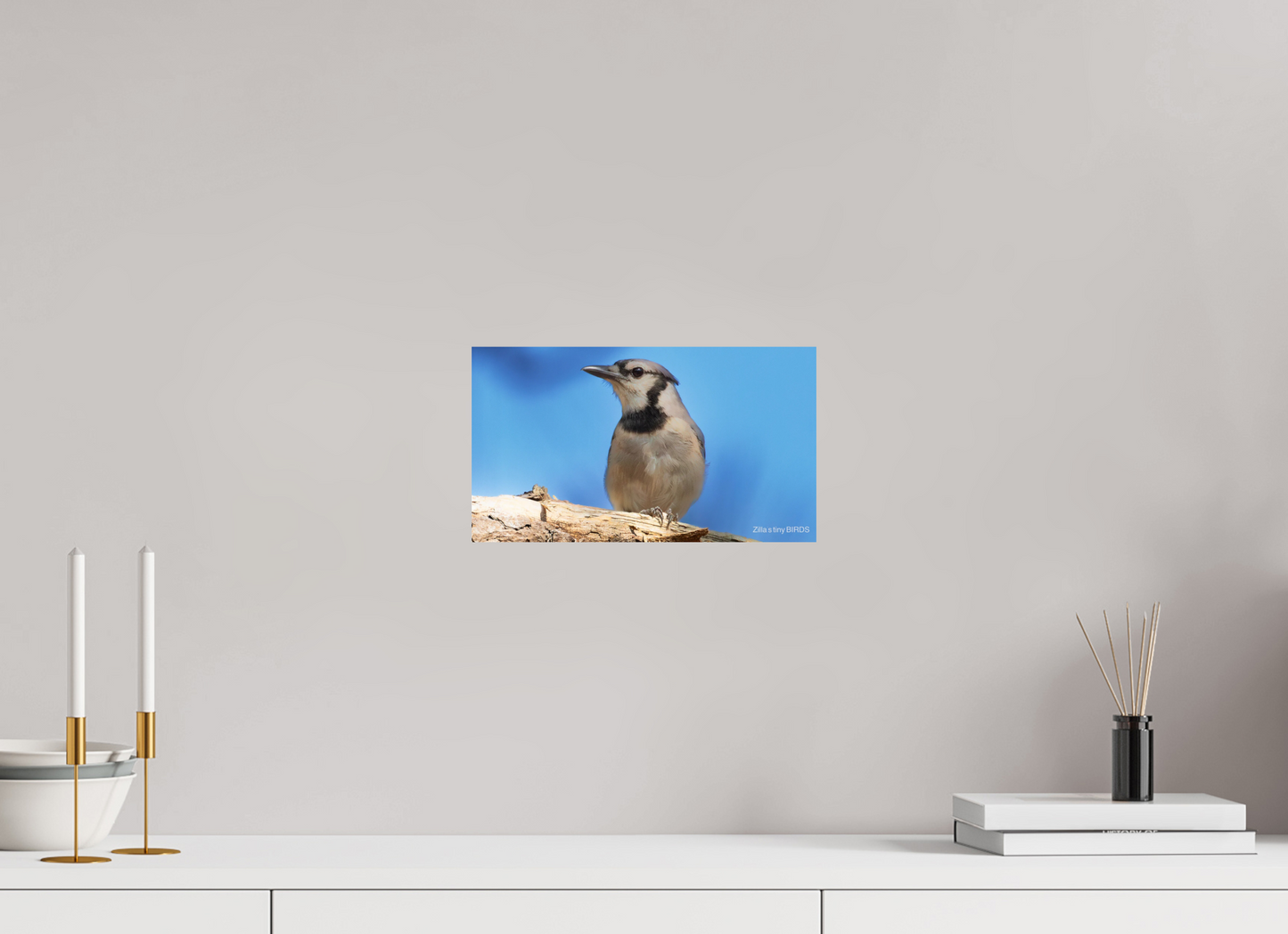 12 x 6.8″, Photo Print On Fuji Crystal DP II Zillas Zoom Image 384
