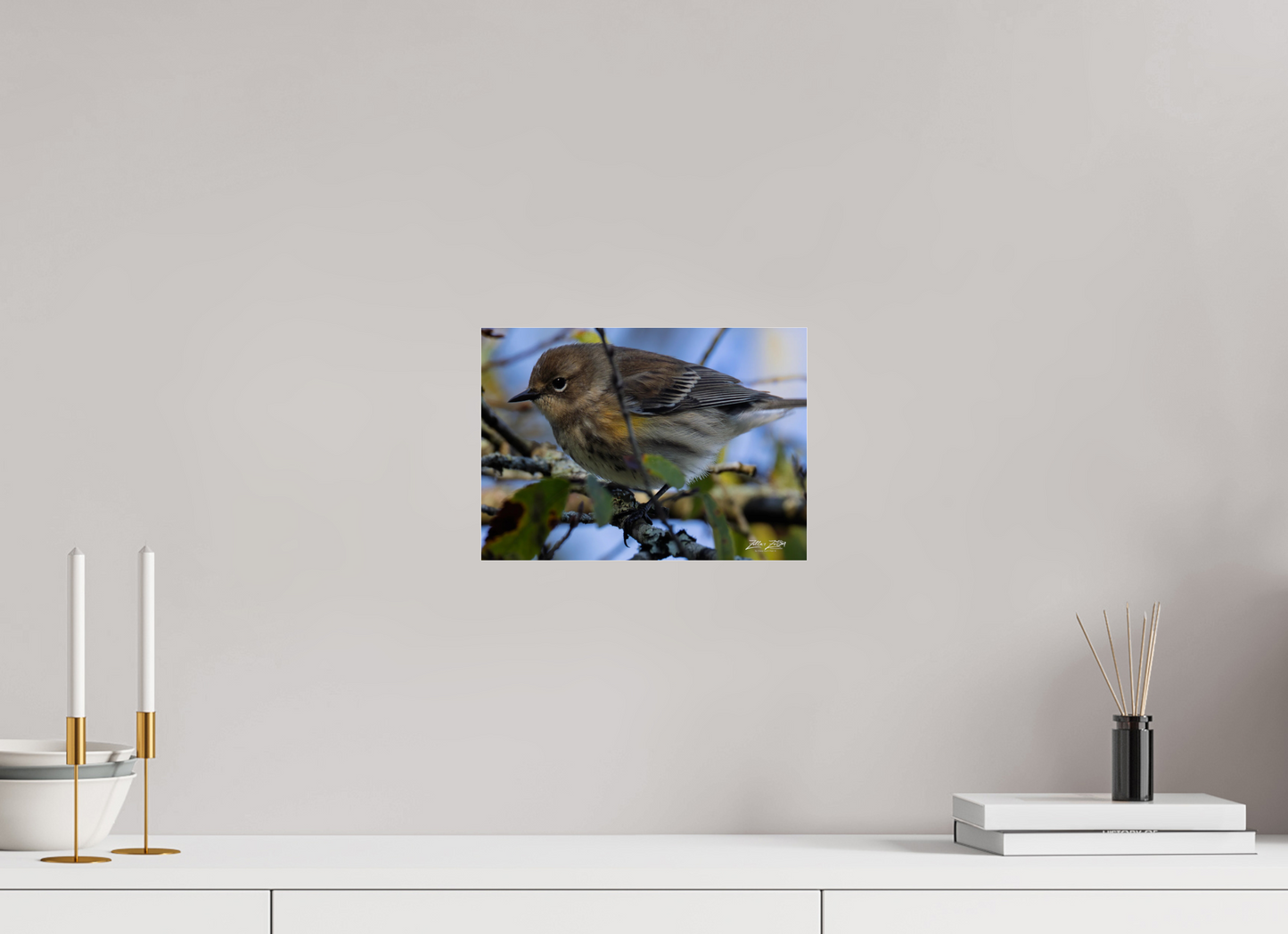 11.2 x 8″, Photo Print Under Acrylic Glass Zillas Zoom Image 357