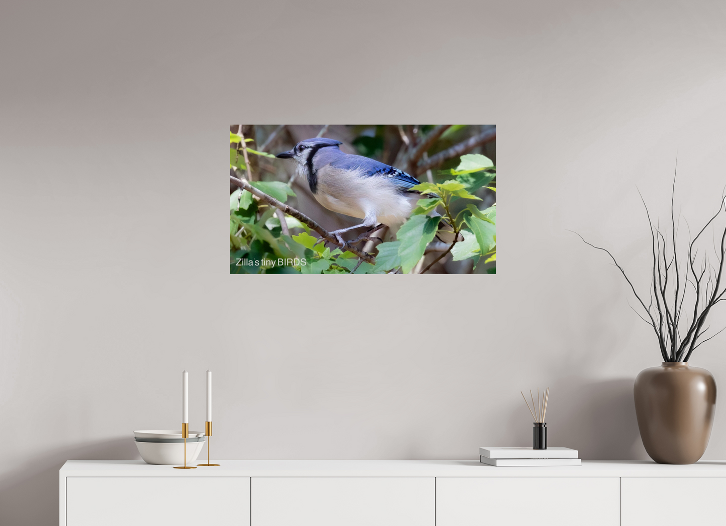 32 x 18″, Photo Print On Fuji Crystal DP II Zillas Zoom Image 377