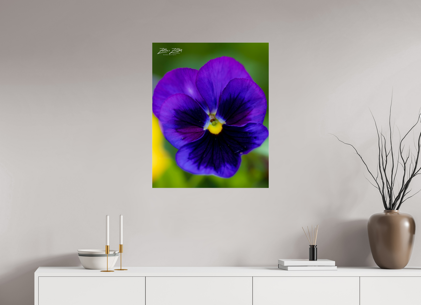 24 x 30″, Photo Print Under Acrylic Glass Zillas Zoom Image 117