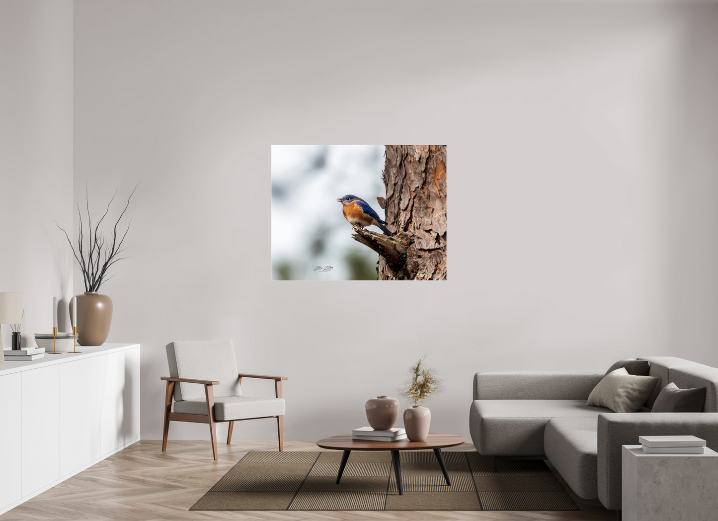 50.5 x 39″, Photo Print Under Acrylic Glass Zillas Zoom Image 349