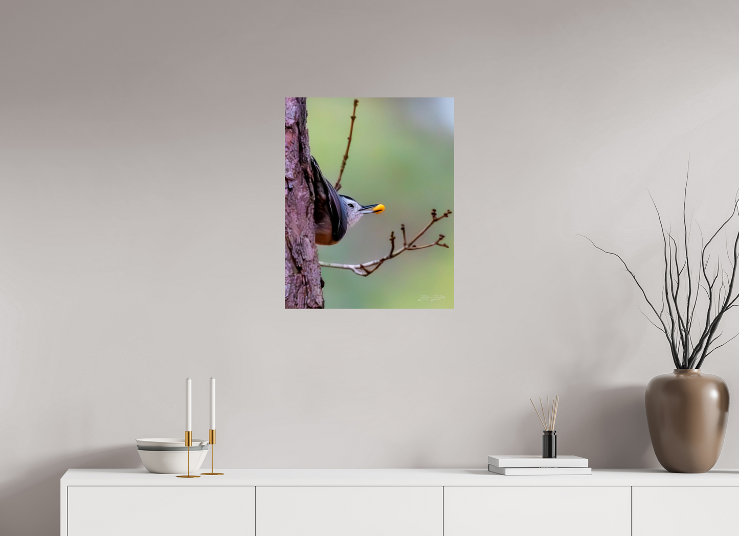 20 x 25″, Photo Print On Fuji Crystal DP II Zillas Zoom Image 503