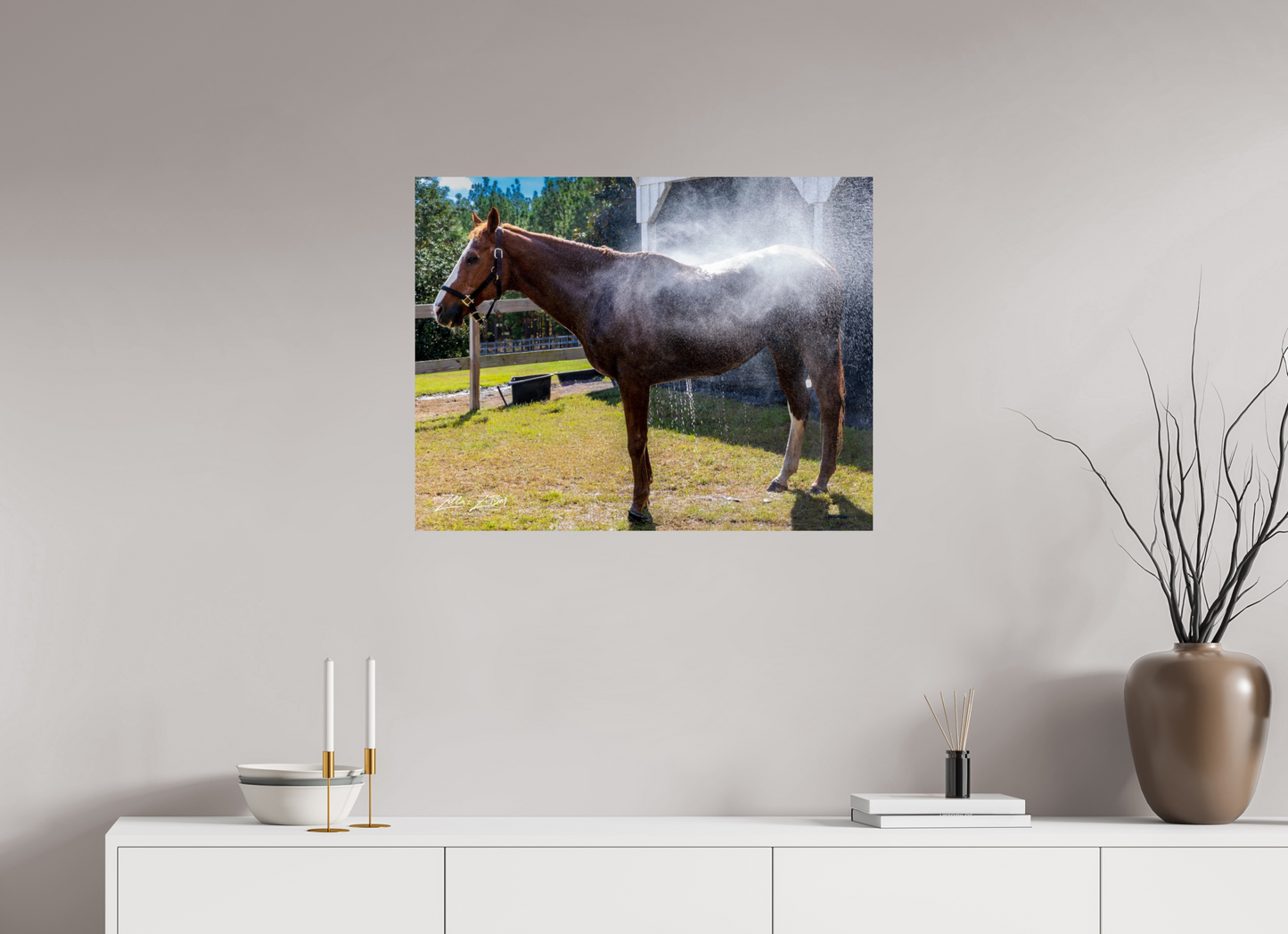 31.1 x 24″, Photo Print On Fuji Crystal DP II Zillas zoom image 145