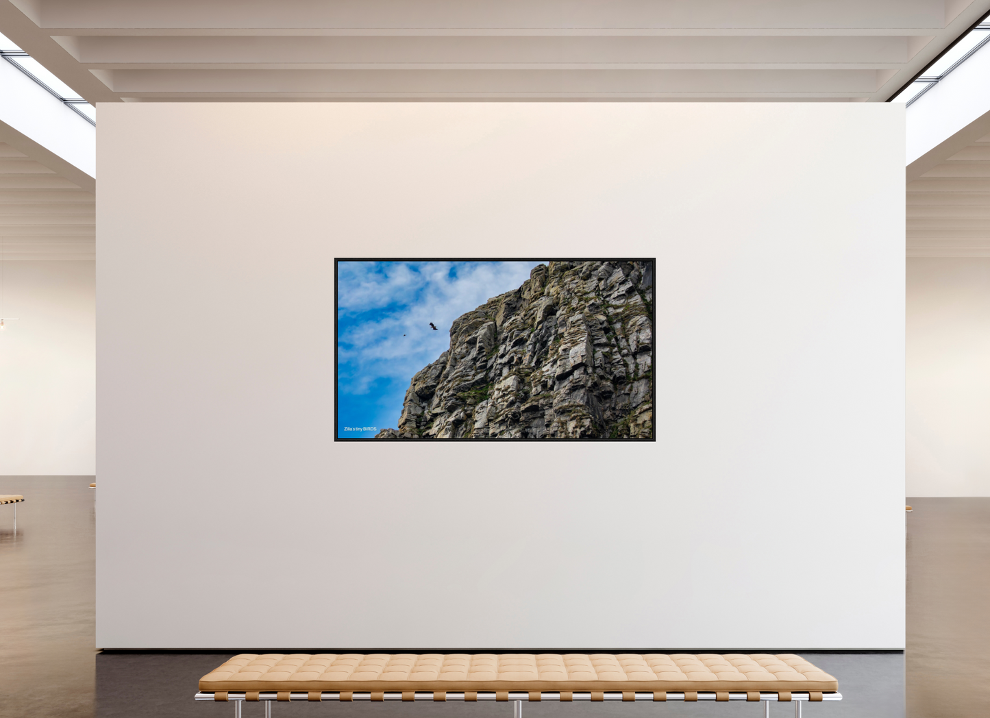 80 x 45″, Floater Frame Zillas Zoom Image 215