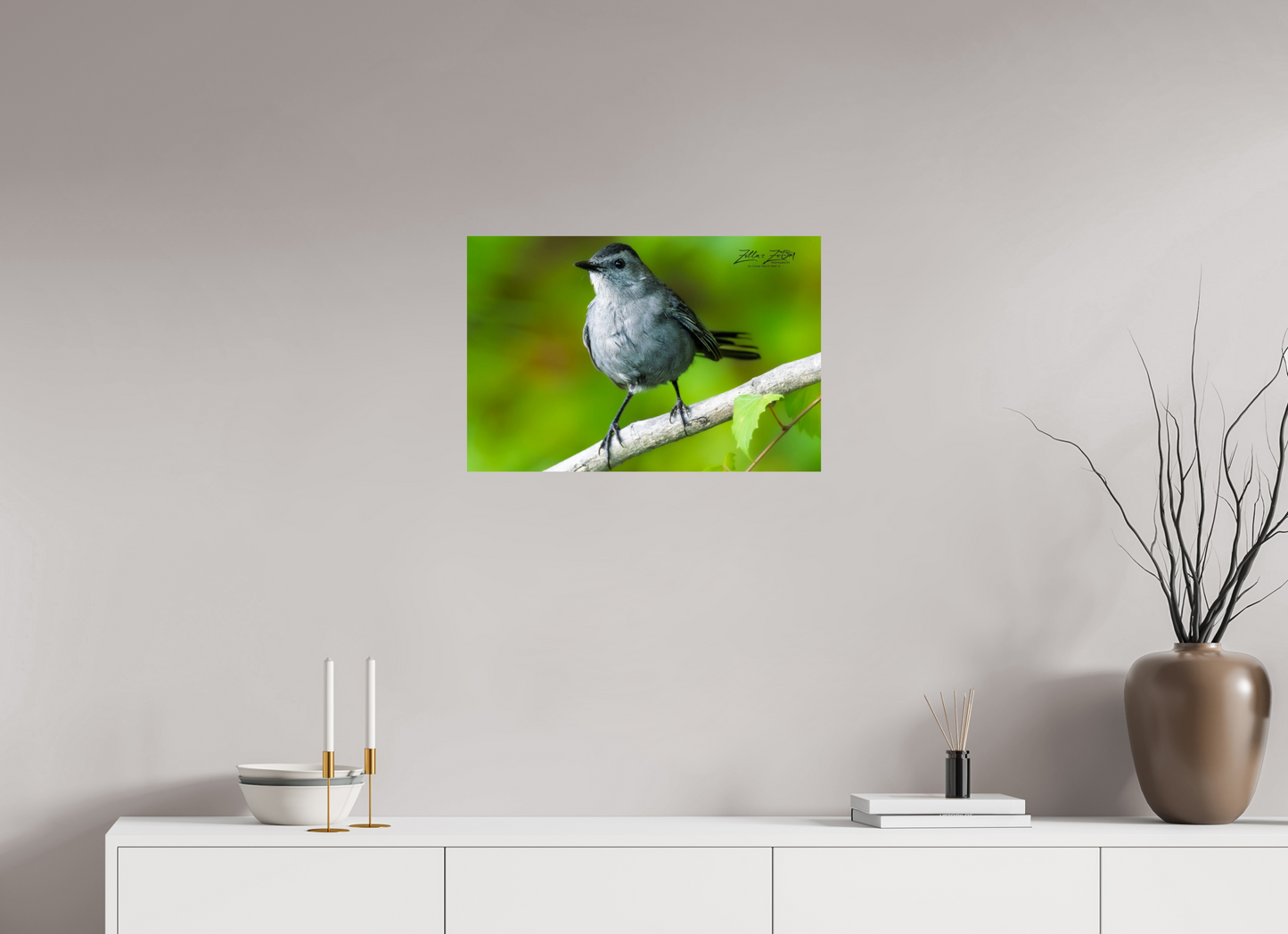 24 x 16″, Photo Print On Fuji Crystal DP II Zillas Zoom Image 305