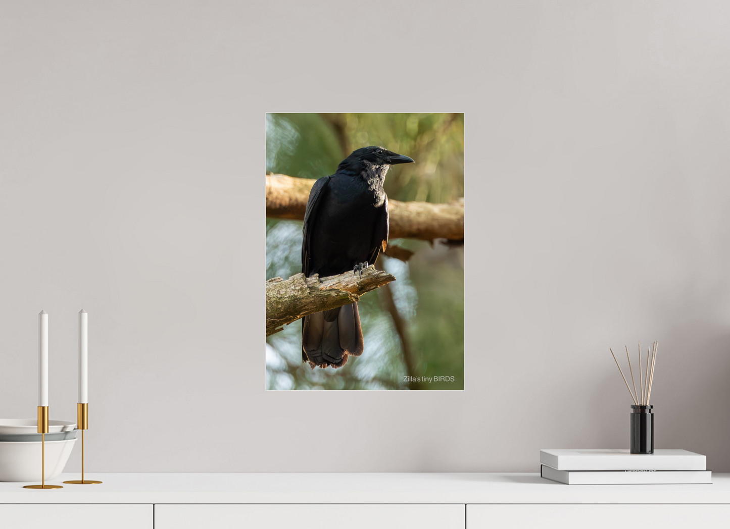12 x 16.8″, Photo Print Under Acrylic Glass Zillas Zoom Image 523