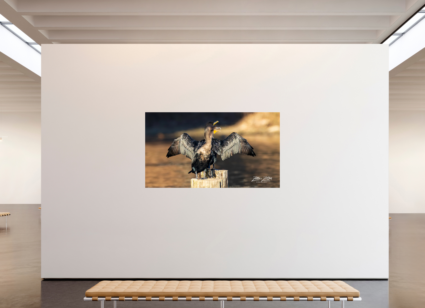 80 x 45″, Photo Print Under Acrylic Glass Zillas Zoom Image 294