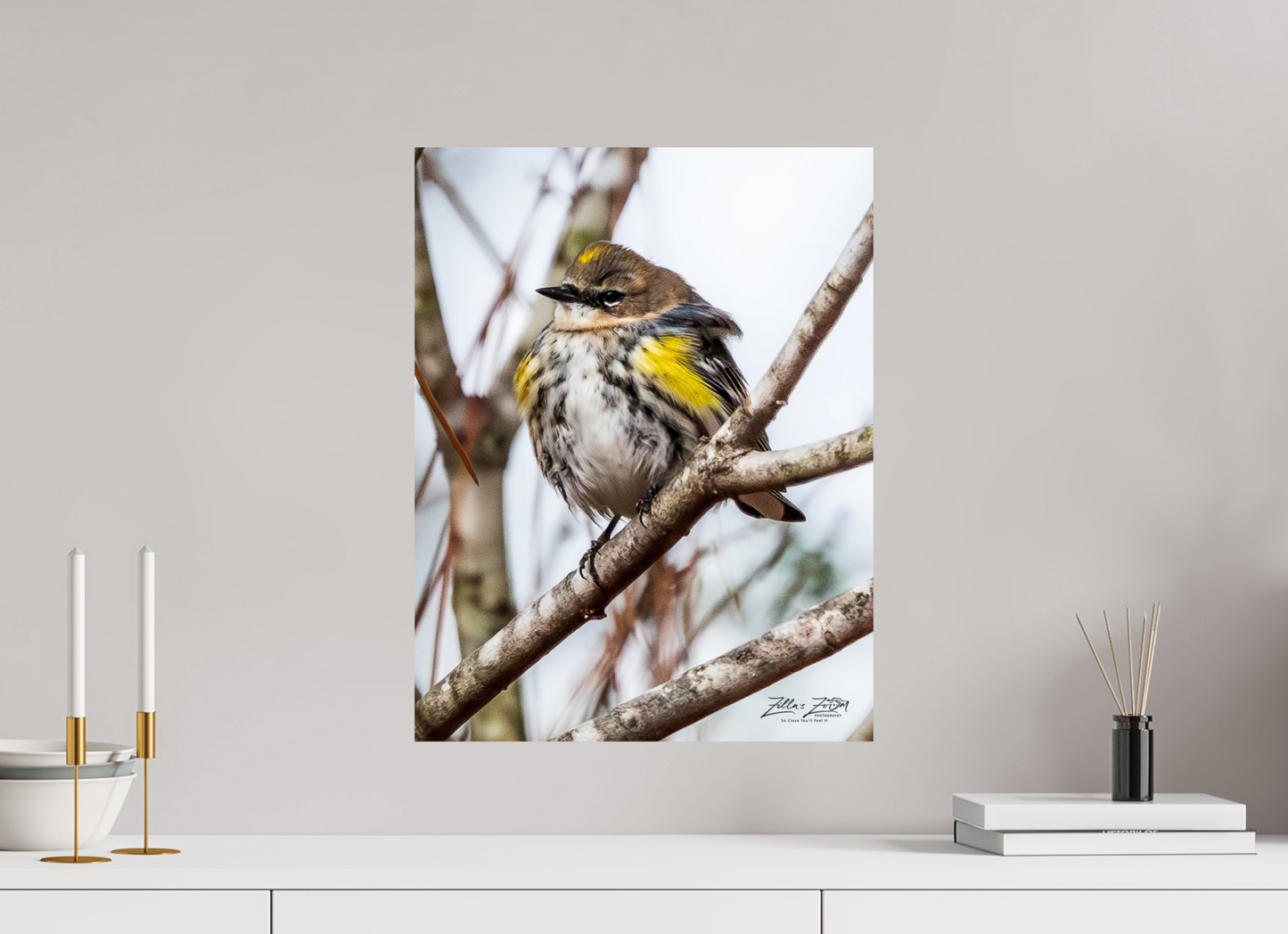16 x 20.7″, Photo Print On Fuji Crystal DP II Zillas Zoom Image 501